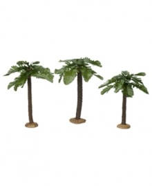 The perfect complement, this set of three palm trees adds some life and dimension to any Nativity scene. The perfect complement, this set of three palm trees adds some life and dimension to any Nativity scene.