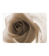 Get a rosier perspective with Leftbank's impressive canvas print of a rose in all its stunning detail. The elegant sepia wash compliments many interior styles and color schemes, making this Leftbank print a classic home accent.
