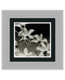 Radiographic artist Steven Meyers combines x-ray images in a captivating art print. This unique technology produces a fascinating and detailed look at each part of the plant. Petals and stems appear illuminated from within. Radiographic artist Steven Meyers combines x-ray images in a captivating art print. This unique technology produces a fascinating and detailed look at each part of the plant. Petals and stems appear illuminated from within.