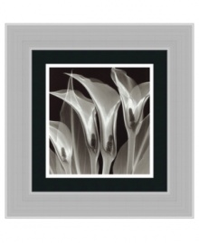 A fusion of art and technology, this art print offers a fresh look at calla lilies. By combining x-ray images, artist Steven Meyers captures otherwise unseen details and dramatic shadows. Framed in stainless steel for a sophisticated, modern finish. A fusion of art and technology, this art print offers a fresh look at calla lilies. By combining x-ray images, artist Steven Meyers captures otherwise unseen details and dramatic shadows. Framed in stainless steel for a sophisticated, modern finish.