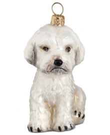 Puppy love at first sight. Just begging for a home, this malti-poo dog ornament is irresistible to animal lovers in hand-painted glass by Joy to the World. Puppy love at first sight. Just begging for a home, this malti-poo dog ornament is irresistible to animal lovers in hand-painted glass by Joy to the World.