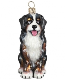 Puppy love at first sight. Just begging for a home, this Bernese Mountain dog ornament is irresistible to animal lovers in hand-painted glass by Joy to the World. Puppy love at first sight. Just begging for a home, this Bernese Mountain dog ornament is irresistible to animal lovers in hand-painted glass by Joy to the World.