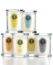 Renew and revive with complex but incredibly soothing natural fragrances from Towra Range by Ecoya. Lidded jars filled with soy wax candles suffuse your home with the mesmerizing aromas like amber, fig, gardenia and ocean. Renew and revive with complex but incredibly soothing natural fragrances from Towra Range by Ecoya. Lidded jars filled with soy wax candles suffuse your home with the mesmerizing aromas like amber, fig, gardenia and ocean.