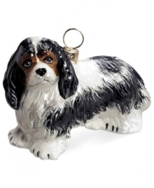 Just begging for a home, this Cavalier King Charles Spaniel ornament has puppy dog eyes and a beautiful brown, black and white coat in hand-painted glass by Joy to the World. Just begging for a home, this Cavalier King Charles Spaniel ornament has puppy dog eyes and a beautiful brown, black and white coat in hand-painted glass by Joy to the World.